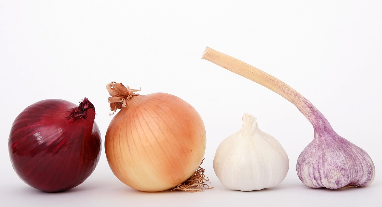 Wdrożenie w technikum gastronomicznym